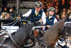 Attacchi: Sfida mozzafiato!