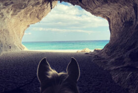 “HorsEssence – Itinerari Equestri”: la FISE lancia il progetto dedicato al turismo equestre sostenibile