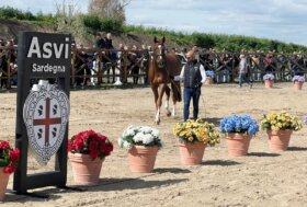 Allevamento: alla presentazione stalloni di Ozieri 500 persone, l’Asvi punta a migliorare la produzione
