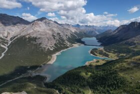 World Wildlife Day: Parchi e Riserve della Valtellina si raccontano, in un viaggio tra ecosistemi unici e progetti di tutela