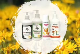 Arnica, Artiglio del diavolo, Dermatiti estive, Pulizia del pelo