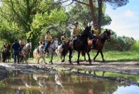 Horse Green Day: a Pisa la presentazione del progetto “Toscana con il Cavallo”