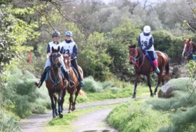 Endurance: a Tanca Regia vince Maria Giovanna Mulas sull’anglo arabo Erula Lady