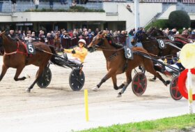 Arcoveggio: giovedì di trotto con 8 corse, La TQQ con il Premio Gianluigi “Gigi Andreini”