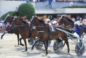 Ippodromo di Bologna: lunedì 16 marzo, otto corse dedicate a performer del passato