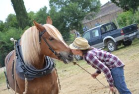 Razze da tiro: l’Italia costruisce il primo hub scientifico dedicato alla conservazione