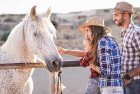 HORSE GREEN DAY 2026 Il cavallo al centro di un nuovo modello di sviluppo rurale e turismo rigenerativo Palazzo della Ragione, Piazza delle Erbe – Padova