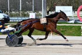Pasqua di trotto all’ippodromo Snai San Siro con dolce sorpresa di Glucosio Jet nel Premio Fausto Branchini, condizionata sui 2100 metri