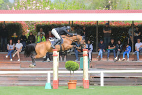 Campionati Italiani di salto ostacoli ACME: Giuseppe Rolli in testa dopo la prima prova degli Assoluti