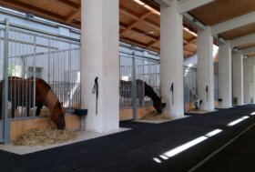 Cavalli che scivolano nei corridoi? Evita rischi con la gomma