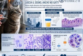 Mai dimenticare che “Il fumo uccide anche loro”