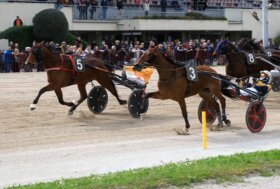 Arcoveggio: Presentazione delle corse di Giovedi’ – inizio ore 15:00 Premio Mauro Bertocchi – Corsa Tris Quarté Quinté –