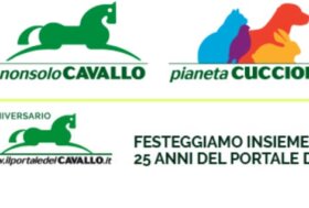 Il Portale del Cavallo compie 25 anni, festeggiamo insieme con codice sconto ANNIVERSARIO