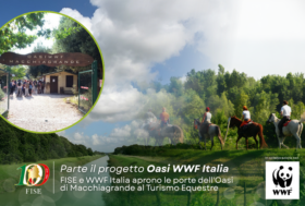Turismo sostenibile e biodiversità: martedì 2 giugno al via il progetto FISE-WWF Italia all’Oasi di Macchiagrande