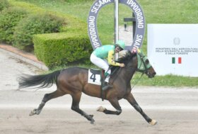 Il sodalizio In Love e Antonio Di Nardo accende il venerdì di trotto all’ippodromo Snai Sesana