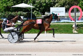 All’ippodromo Snai San Siro, nell’ultima uscita di trotto in maggio, colpaccio di Giuda di Risaia nel Premio Allevamento di Viggiano