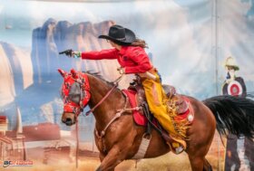 Salone del Cavallo Americano 2026 22-24 maggio, CremonaFiere