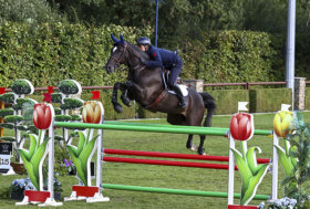 Salto ostacoli: bella prova del Team Italia nello CSIO3* LES di Lier in Belgio