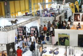 Salone del Cavallo Americano 2026: l’asticella si alza ancora