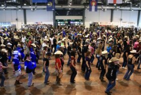 Salone del Cavallo Americano: Il Salone per divertirsi CremonaFiere 22-24 maggio