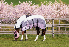 🌸 Sbocciano i Fiori! Tempo di Maschere anti-insetti e Coperte a rete 🌱