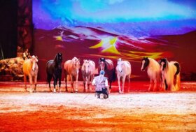 Salone del Cavallo Americano 2026: 22-24 maggio, CremonaFiere