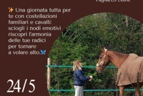 Inizia il countdown per l’appuntamento con le Costellazioni Equestri: il 24 maggio in esclusiva al Bibop Circolo Ippico
