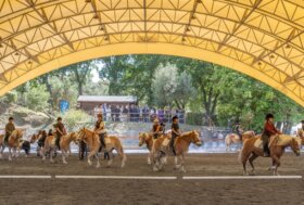 San Raffaele Viterbo celebra 40 anni di riabilitazione equestre: una storia di cura, relazione e inclusione