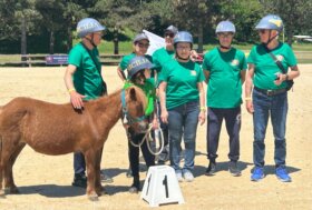Over Pony Motricità Plus 2026