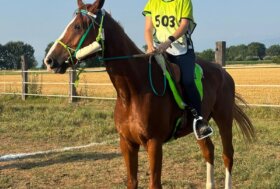 Endurance: bene i binomi valdostani a Frossasco, podio per Garbetta nella 90 km