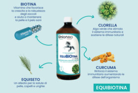 BIOTINA: vitamina per zoccoli e mantello sano
