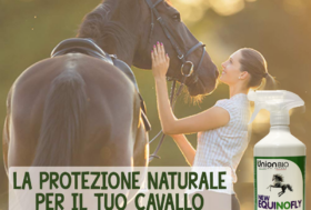 La protezione… non va mai in vacanza