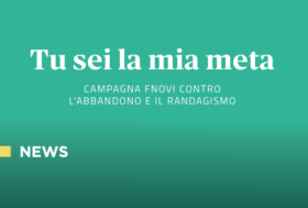 “Tu sei la mia meta”: riparte la campagna FNOVI contro l’abbandono e il randagismo