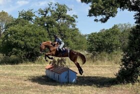 Equitazione: nel Completo di Tanca Regia si mettono in luce Nicola Pilleri e Gaia Spissu, nel Dressage dominio di Andrea Rossi
