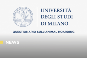 Animal Hoarding: al via un’indagine nazionale rivolta ai medici veterinari