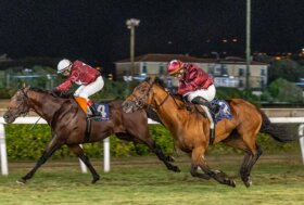 Ippodromo Caprilli: presentazione prima giornata di corse venerdì 10 luglio