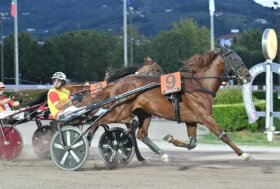 All’ippodromo Snai Sesana il 1° luglio di trotto con protagonista Indianfire WF nel “Triplete” di Roberto Vecchione