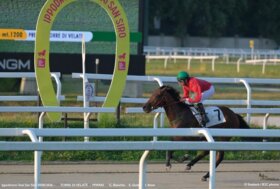 Il martedì sera di galoppo all’ippodromo Snai San Siro nel segno di Mwaki e di Dothan che vincono le due prove sulla sabbia più interessanti ereditate da Varese