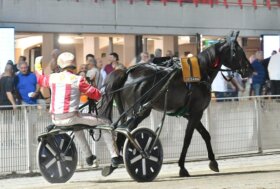 Sabato sera con il Gran Premio Nello Bellei all’ippodromo Snai Sesana