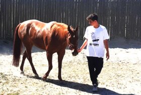 FISE e IEuD insieme contro la dipendenza digitale: il cavallo diventa alleato della prevenzione