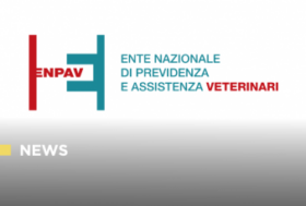 Welfare ENPAV: via libera dai Ministeri alle riforme su genitorialità e borse di studio