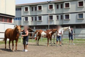 Fieracavalli amplia il progetto con il carcere di Montorio: al via “Terreni Fertili” con i primi tirocini