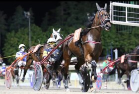 All’ippodromo di Cesena, venerdì sette corse dalle 20:45