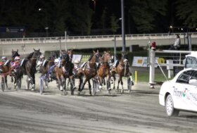 Ippodromo di Cesena: venerdì 17 luglio, sette corse dalle 20:45. Il clou è il Premio Loreto per quattro anni