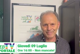 Non perdere la 28° puntata della WebTV