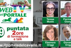 Rivedi subito la 29° puntata della WebTV