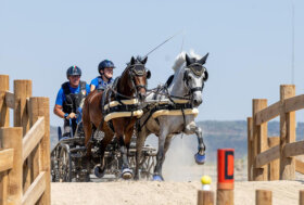 Attacchi: Campionati Europei giovanili di Osorhei. Due medaglie per le Driver azzurre