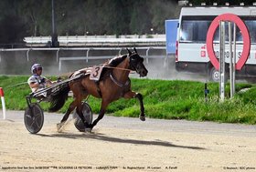 All’ippodromo Snai San Siro il mercoledì di trotto con Galileo Wise L ed Imperial Dance per il “Doppio d’Autore” Firmato Andrea Guzzinati