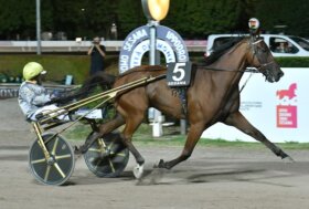 Il Gran Premio Città di Montecatini lo vince Dany Capar con Alessandro Gocciadoro mattatore