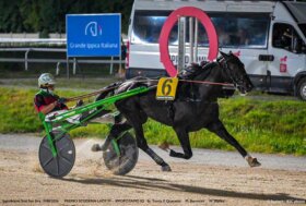 All’ippodromo Snai San Siro il mercoledì di trotto, col doveroso minuto di silenzio per VARENNE
